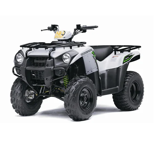 rent a car moto madeira Kawasaki ATV Brute Force 300